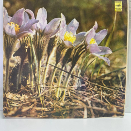 Винтажная виниловая пластинка LP София Ротару II (СССР 1977) Твои Следы